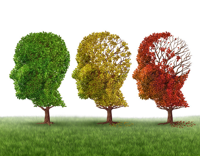 Alzheimer – „Wenn unsere Persönlichkeit verloren geht“ eine chronische degenerative Erkrankung. Prävention mit Regenerativer Mitochondrien Medizin